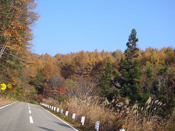 「磐梯山ゴ一ルドライン」只在每年4月底至11月中開放通行