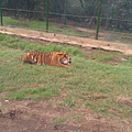 IMAG0663.jpg