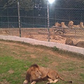 IMAG0672.jpg