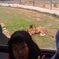 IMAG0673.jpg