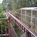 IMAG0677.jpg