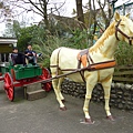 P1000417.JPG