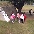 IMAG0596.jpg