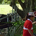 P1000945