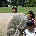 P1000953