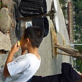 P1010004