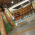DSCN1686