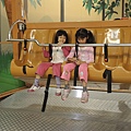 DSCN1732