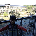 IMG_2532.JPG