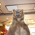 IMG_2544.JPG