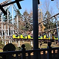 IMG_2559.JPG