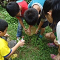 DSC01399.JPG