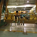 DSC01325.JPG