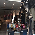 IMG_1585.JPG
