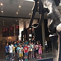 IMG_1586.JPG