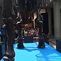 IMG_1588.JPG