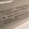 IMG_1595.JPG
