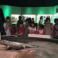 IMG_1597.JPG