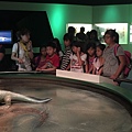 IMG_1596.JPG