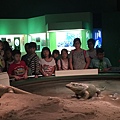 IMG_1598.JPG
