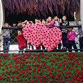 IMAG0213.jpg
