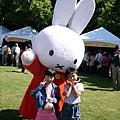 和Miffy一起裝可愛