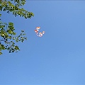 氣球升空