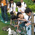 餵小兔