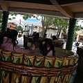 DSCF1240.JPG