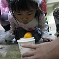 IMG_0549.JPG