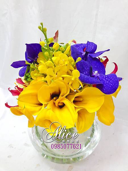 IMG_1031 IMG_1031