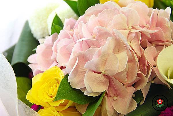 FphVAqMLKSYGQl-6gTC8x9aOdqMg.JPG!730x0