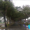 綠色隧道(始).jpg