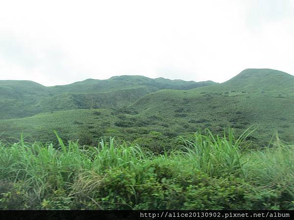 IMG_9165 IMG_9165