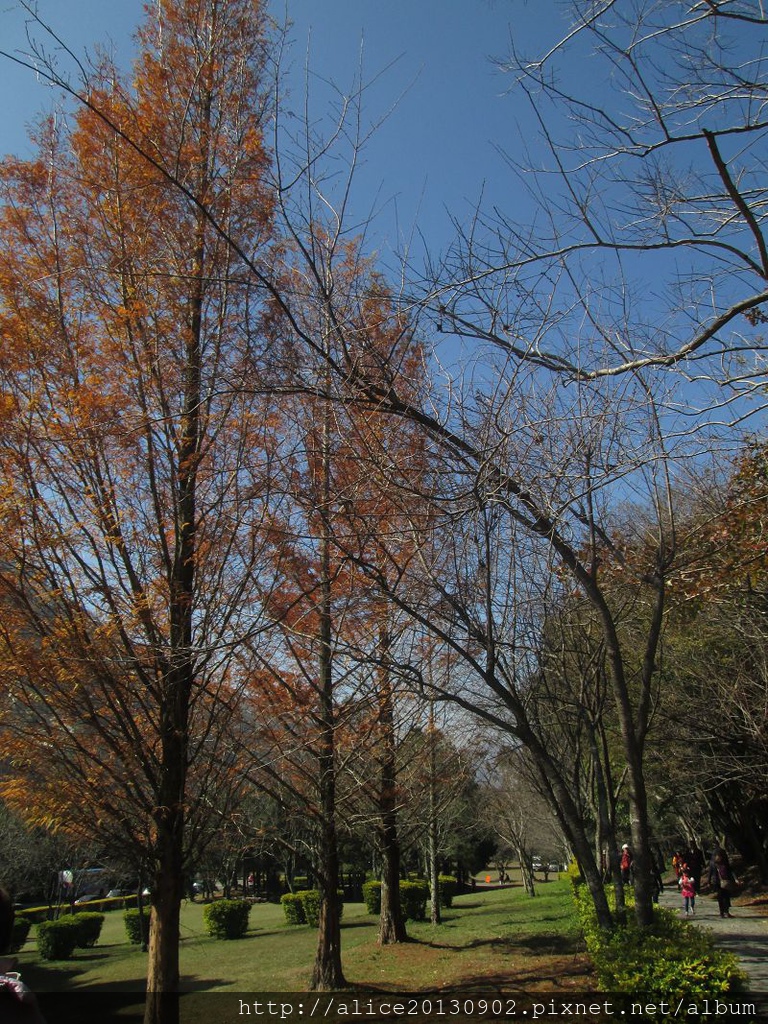 IMG_0795 IMG_0795