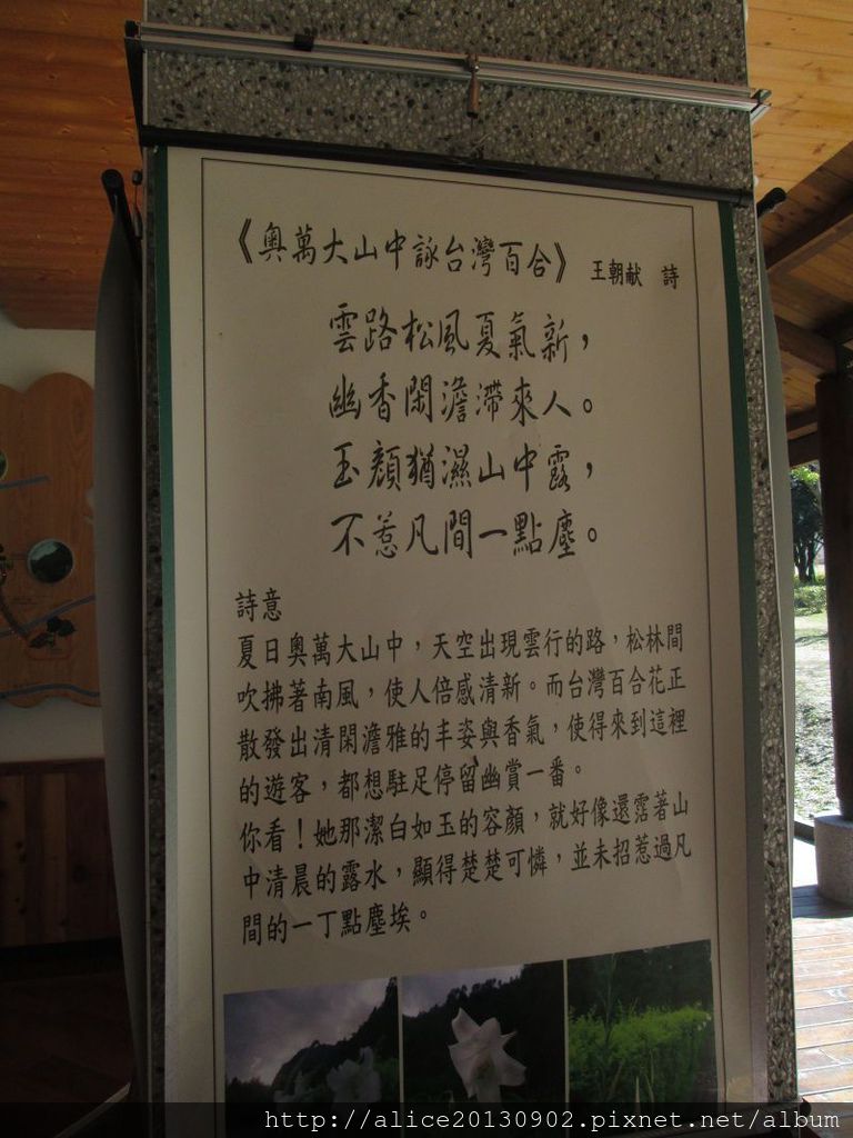 IMG_0806 IMG_0806