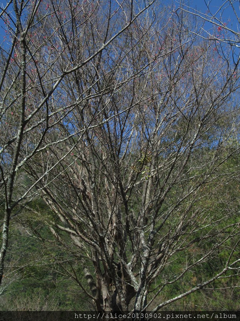 IMG_0822 IMG_0822