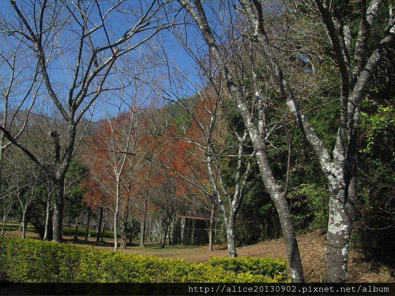 IMG_0825 IMG_0825