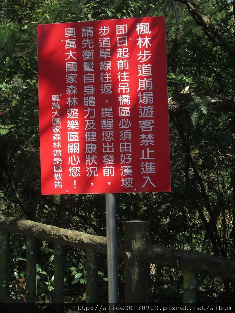 IMG_0829 IMG_0829