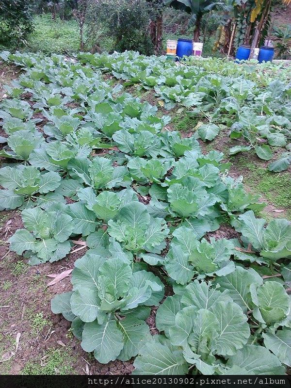 1059108_914997478595243_954273159_n.jpg 1059108_914997478595243_954273159_n.jpg