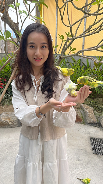 【宜蘭景點】礁溪網美必朝聖新景點|近距離餵食可愛動物|荒野沙