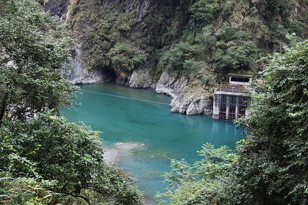 美麗的風景枝2010花蓮遊