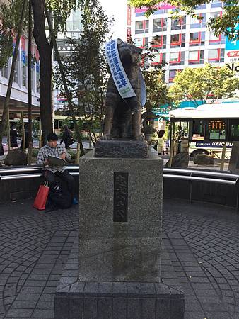 530C09AD-9AE9-45EA-BAE7-0B7A3A5DE19A.jpeg 530C09AD-9AE9-45EA-BAE7-0B7A3A5DE19A.jpeg