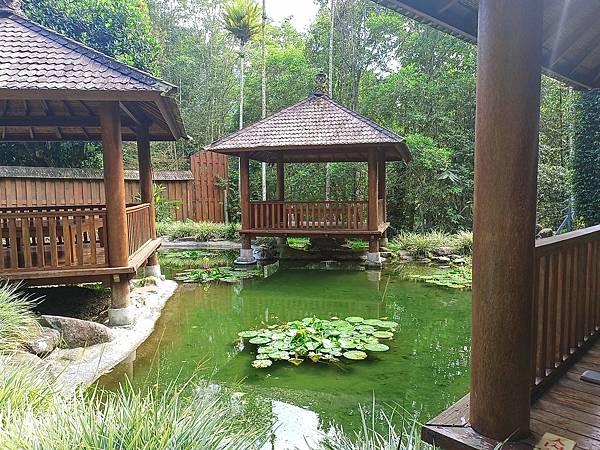 【南投食记】台湾版峇里岛~南投美食餐厅 乌布雨林峇里岛主题餐