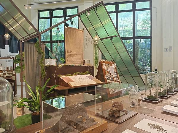 【新北游】新北市坪林景点 坪林室内景点 坪林茶业博物馆/ 到