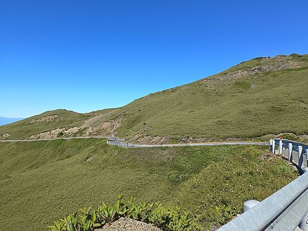 【南投遊】新手肉腳挑戰百岳 合歡主峰 平緩好走 適合闔家健行