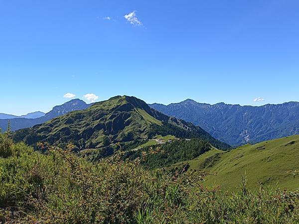 【南投遊】新手肉腳挑戰百岳 合歡主峰 平緩好走 適合闔家健行