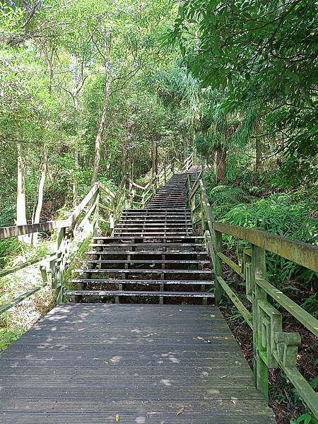 【雙北遊】台北親民步道推薦 士林區步道 小溪頭環狀步道/ 大