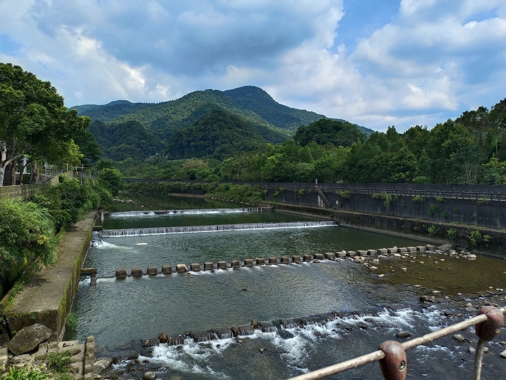 【雙北遊】坪林景點、坪林步道推薦 坪林觀魚步道(北勢溪觀魚步