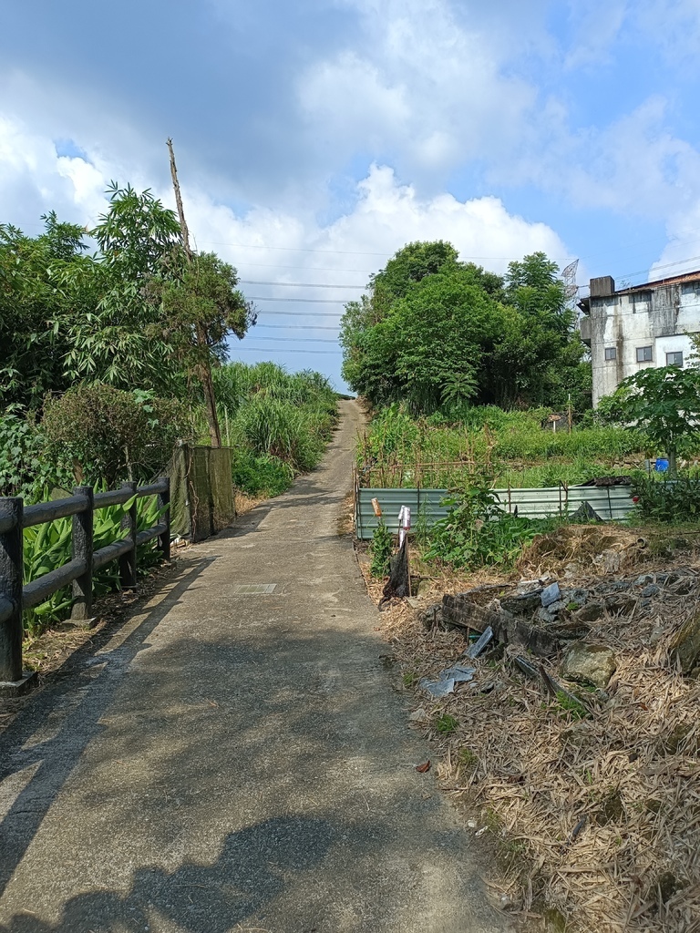 【雙北遊】坪林景點、坪林步道推薦 坪林觀魚步道(北勢溪觀魚步